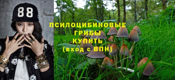 прущий лед Алзамай