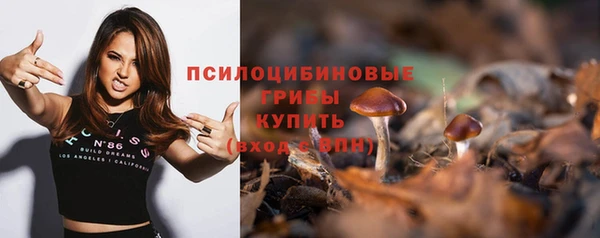 прущий лед Алзамай