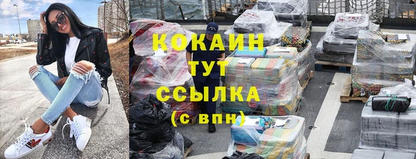 СК Новодвинск