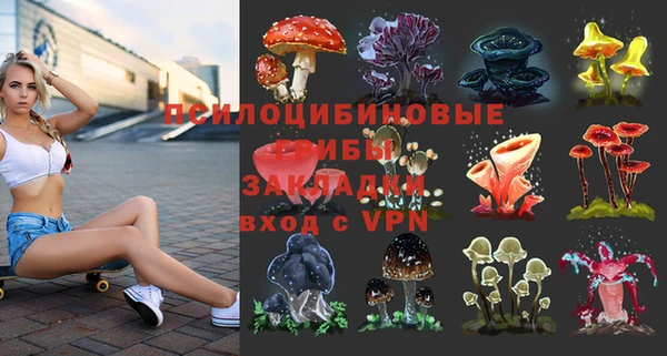 прущие крисы Алексин