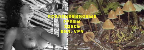 прущий лед Алзамай