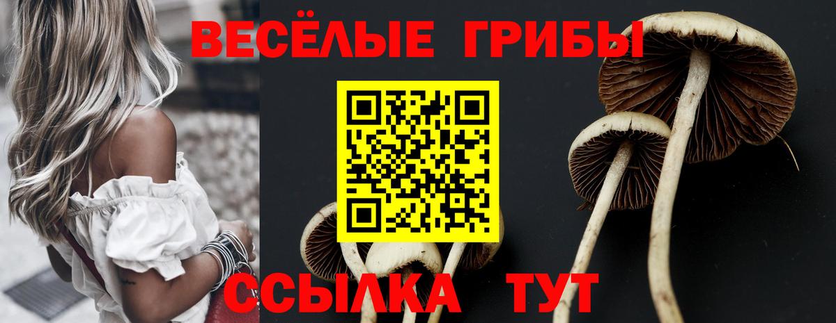 Галлюциногенные грибы Cubensis  купить закладку  Ленинск-Кузнецкий  Вход с VPN 